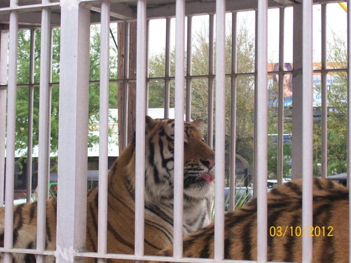 2012-Mar-10HGR4X4_4Wheelparts 015